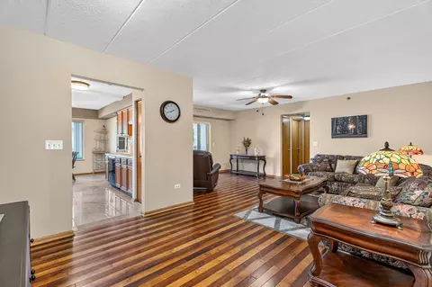 Living - 6845 Forestview Dr #2D, Oak Forest, IL 60452 photo 9 of 11
