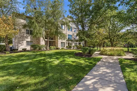 Exterior - 6845 Forestview Dr #2D, Oak Forest, IL 60452 photo 14 of 17