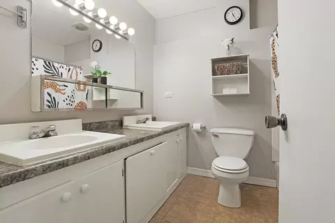 Bath - 4336 Mann St, Oak Forest, IL 60452 photo 1 of 2