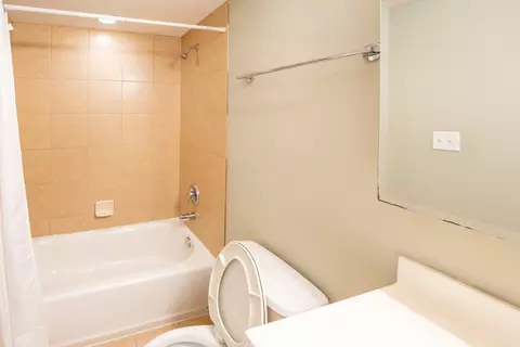 Bath - 2272 S Archer Ave #7D, Chicago, IL 60616 photo 2 of 3