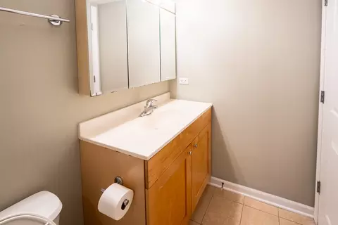 Bath - 2272 S Archer Ave #7D, Chicago, IL 60616 photo 3 of 3