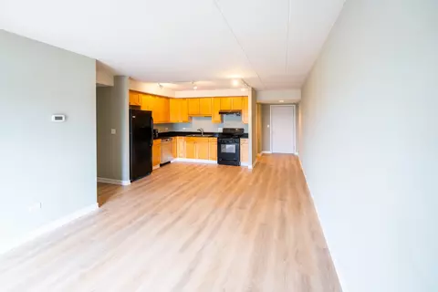 Living - 2272 S Archer Ave #7D, Chicago, IL 60616 photo 3 of 3
