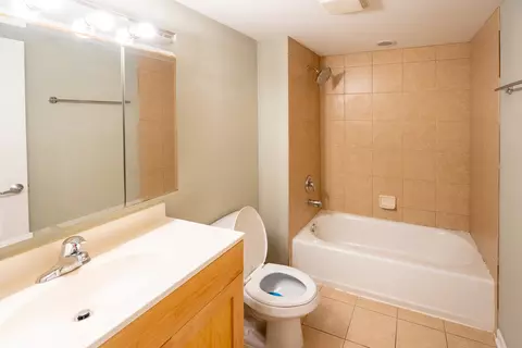 Bath - 2272 S Archer Ave #7D, Chicago, IL 60616 photo 1 of 3