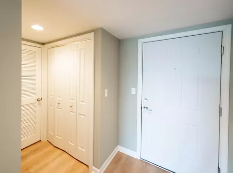 Entry Way - 2272 S Archer Ave #7D, Chicago, IL 60616 photo 4 of 4