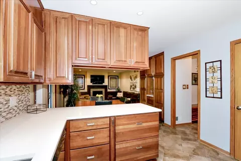 920 N Dovington Dr, Hoffman Estates, IL 60169 photo 7