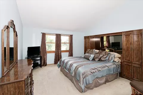 920 N Dovington Dr, Hoffman Estates, IL 60169 photo 16