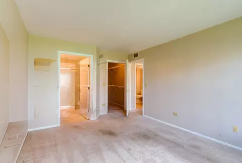 338 Ashford Cir #1, Bartlett, IL 60103 photo 19