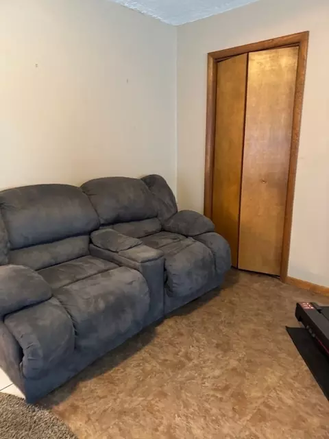 Other - 216 E Bullard St, Forrest, IL 61741 photo 7 of 8
