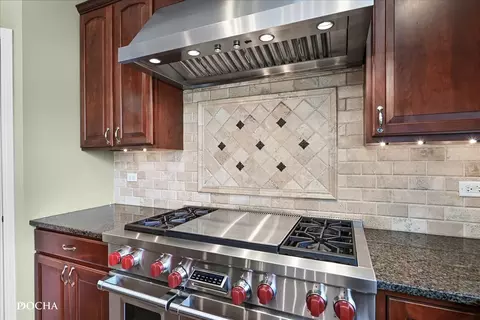 Kitchen - 25003 Blue Iris Ct S, Plainfield, IL 60585 photo 5 of 11