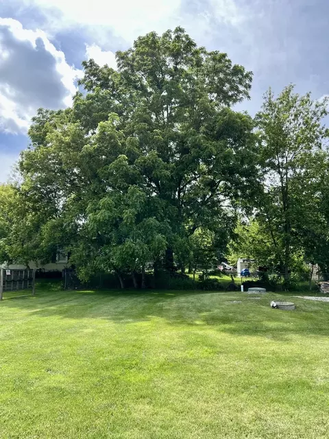 10 N774 Maple St, Elgin, IL 60123 photo 4