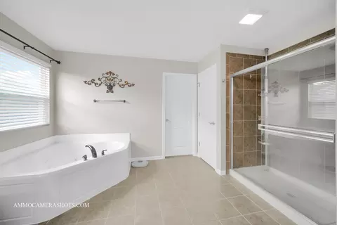Bath - 24911 Blue Iris Ct N, Plainfield, IL 60585 photo 2 of 6