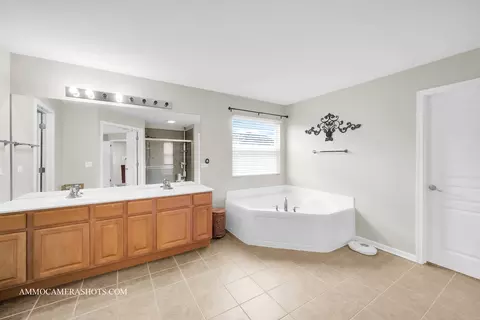 Bath - 24911 Blue Iris Ct N, Plainfield, IL 60585 photo 1 of 6