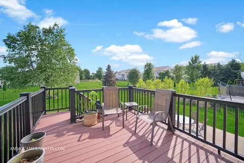 Exterior - 24911 Blue Iris Ct N, Plainfield, IL 60585 photo 3 of 12