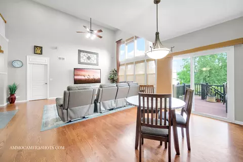Other - 24911 Blue Iris Ct N, Plainfield, IL 60585 photo 2 of 12
