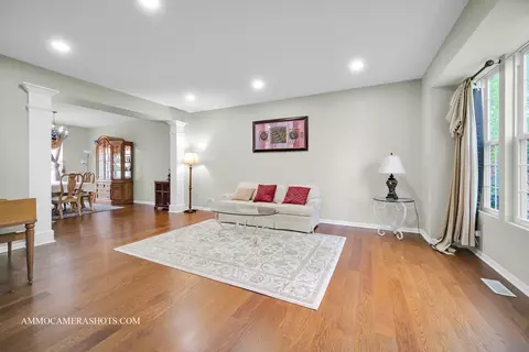 Living - 24911 Blue Iris Ct N, Plainfield, IL 60585 photo 1 of 4