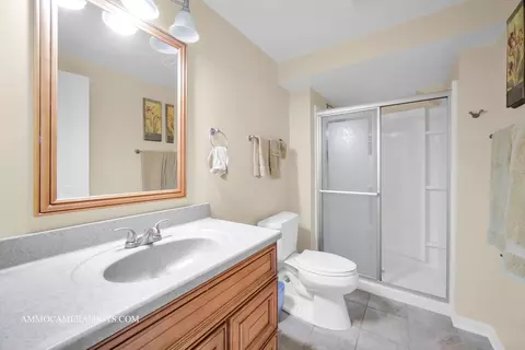 Bath - 24911 Blue Iris Ct N, Plainfield, IL 60585 photo 5 of 6
