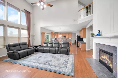 Living - 24911 Blue Iris Ct N, Plainfield, IL 60585 photo 3 of 4