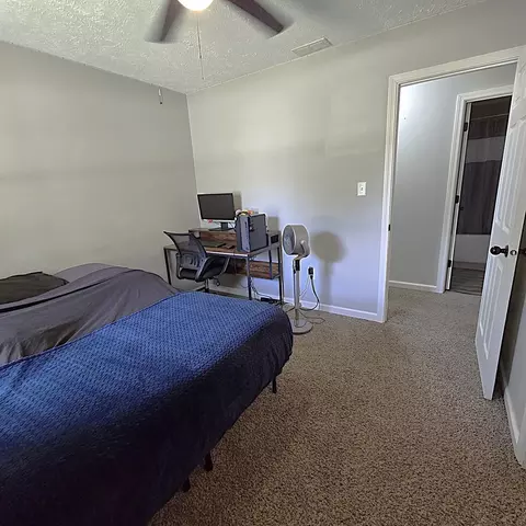 Other - 105 S Delane Dr, Heyworth, IL 61745 photo 7 of 11