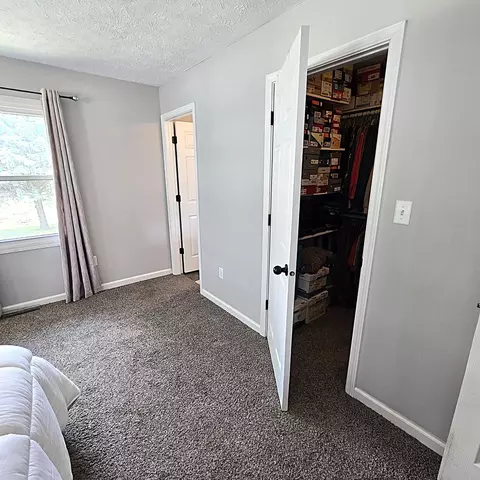 Other - 105 S Delane Dr, Heyworth, IL 61745 photo 11 of 11