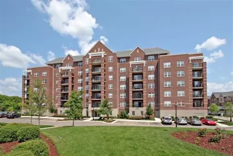 410 W Mahogany Ct #501, Palatine, IL 60067