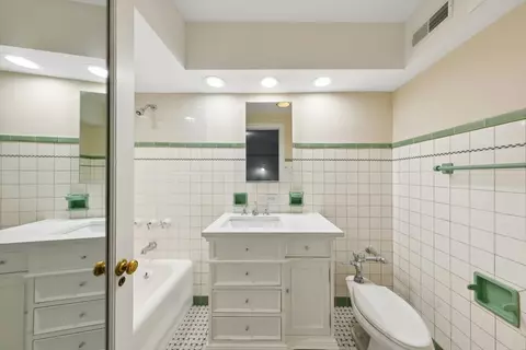 210 E Pearson St #9C, Chicago, IL 60611 photo 29