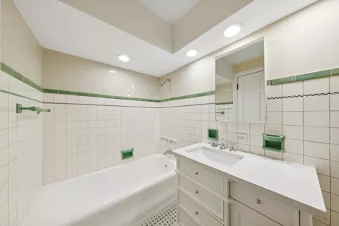 210 E Pearson St #9C, Chicago, IL 60611 photo 28