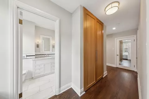 210 E Pearson St #9C, Chicago, IL 60611 photo 18