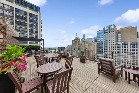210 E Pearson St #9C, Chicago, IL 60611 photo 38