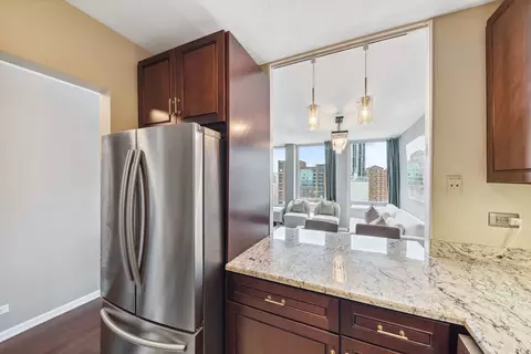 111 E Chestnut St #26B, Chicago, IL 60611 photo 10