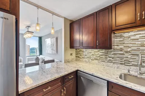 111 E Chestnut St #26B, Chicago, IL 60611 photo 9