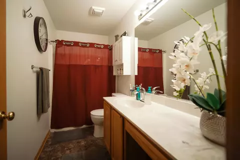 Bath - 712 Lighthouse Dr, Ottawa, IL 61350 photo 2 of 2