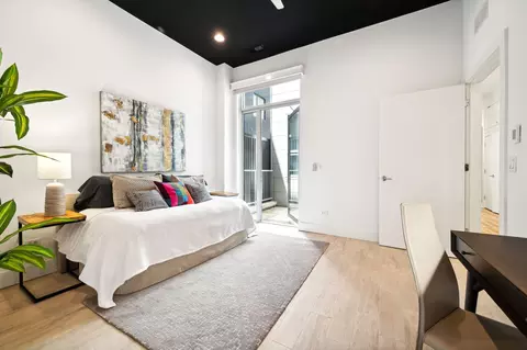 16 N Carpenter St #2S, Chicago, IL 60607 photo 17