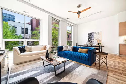 16 N Carpenter St #2S, Chicago, IL 60607 photo 5