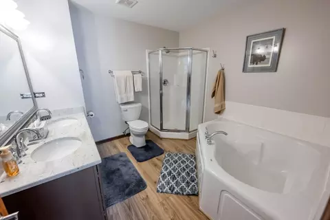 Bath - 2207 Covington Ln, Plainfield, IL 60586 photo 2 of 3