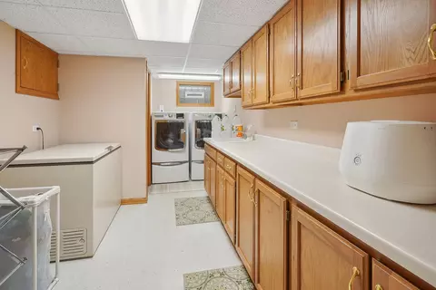 160 Cornwall Dr, Crete, IL 60417 photo 32
