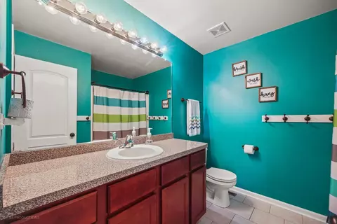 Bath - 371 Tramore Ave, Beecher, IL 60401 photo 3 of 3