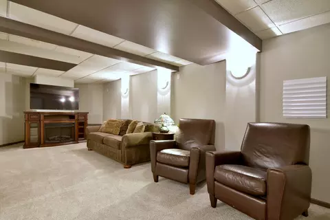 24836 Michele Dr, Plainfield, IL 60544 photo 30