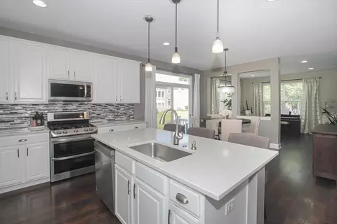 352 Tracy Ln, Elgin, IL 60123 photo 4