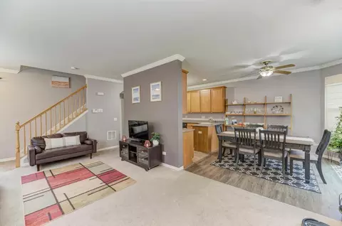 24312 Leski Ln, Plainfield, IL 60585 photo 4