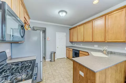 24312 Leski Ln, Plainfield, IL 60585 photo 9
