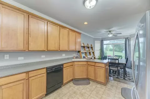 24312 Leski Ln, Plainfield, IL 60585 photo 10