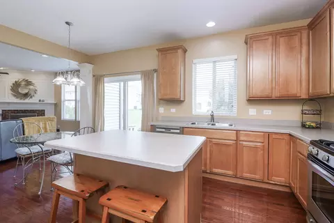 24826 Newberry Way, Plainfield, IL 60585 photo 10