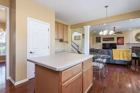 24826 Newberry Way, Plainfield, IL 60585 photo 9