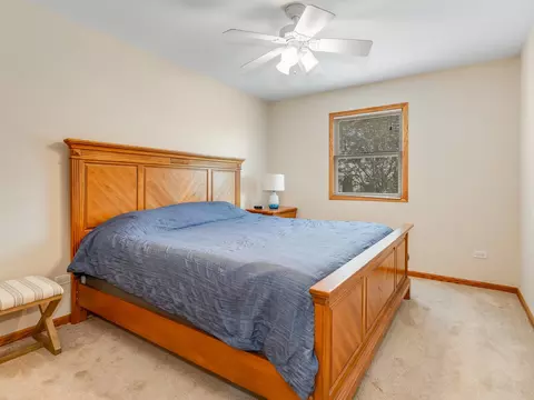 6914 Astoria Dr, Plainfield, IL 60586 photo 19