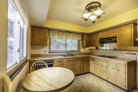 853 Cramer Ct, Willowbrook, IL 60527 photo 13