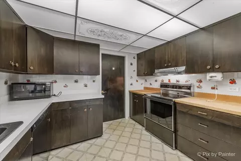 Kitchen - 1209 Mallard Dr, Elgin, IL 60123 photo 3 of 4