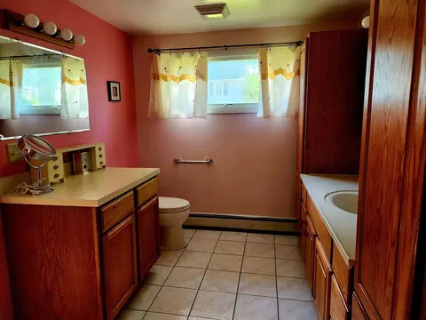 Bath - 22519 W Renwick Rd, Plainfield, IL 60544 photo 1 of 2