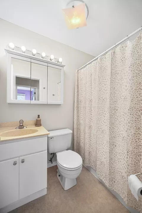 Bath - 716 Holly Dr, Bartlett, IL 60103 photo 3 of 3
