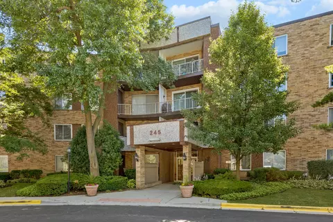 245 S Park Ln #125, Palatine, IL 60074