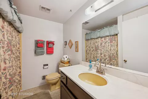 Bath - 313 Ambleside Dr, Roselle, IL 60172 photo 2 of 3